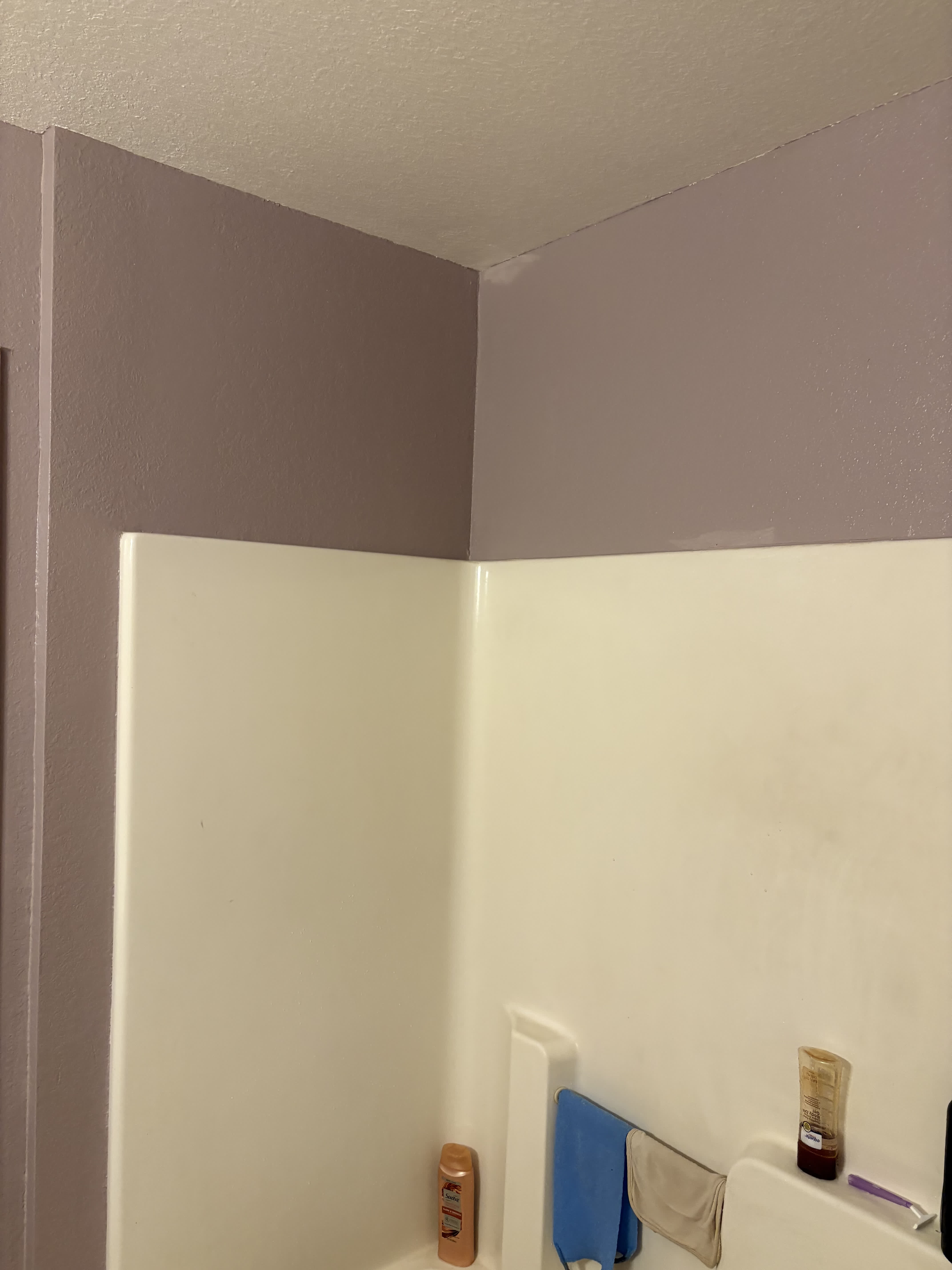 Chico Interior & Exterior Transformation gallery photo 5