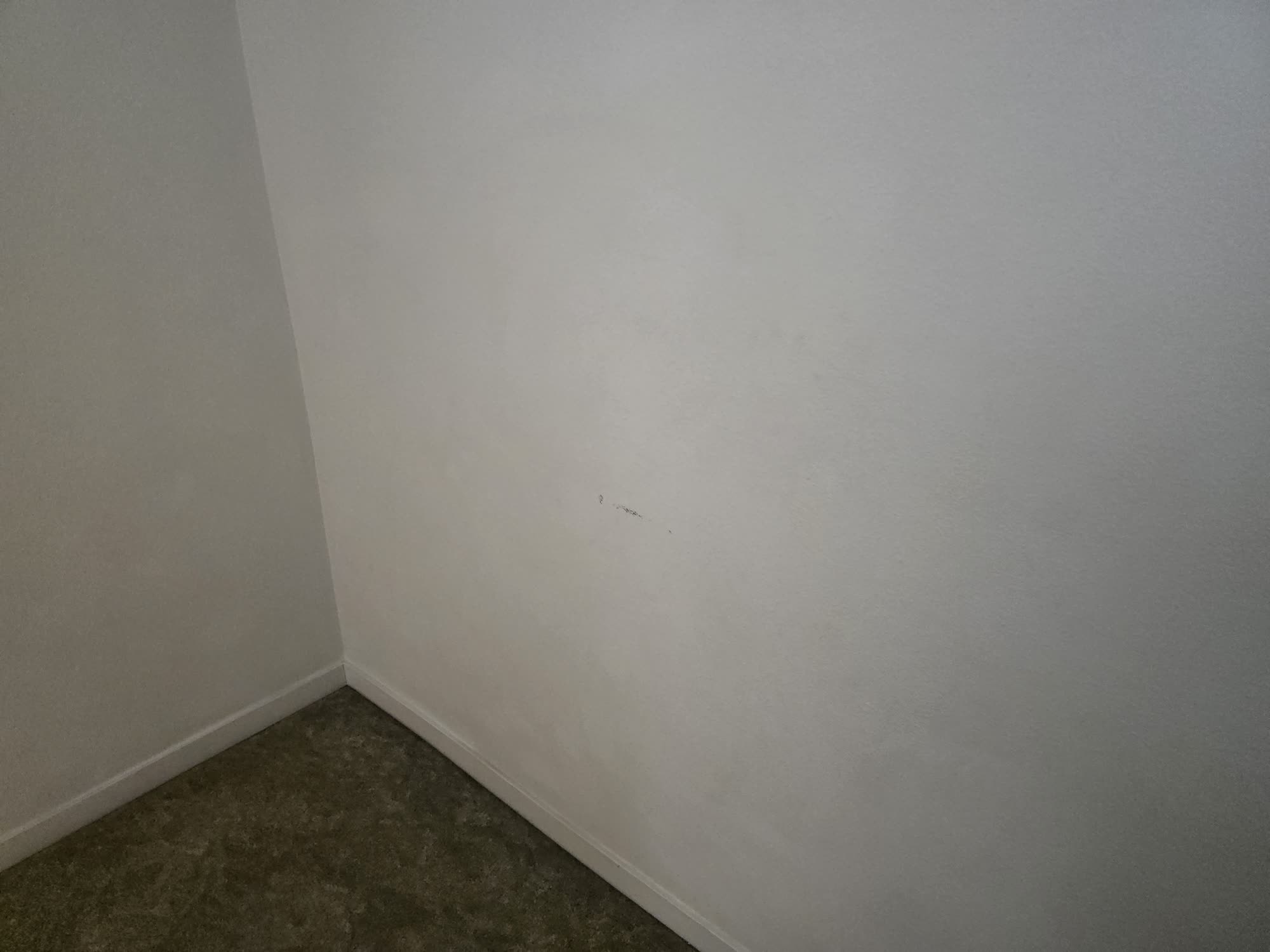 Chico Apartment Suite Interior - Before photo 8