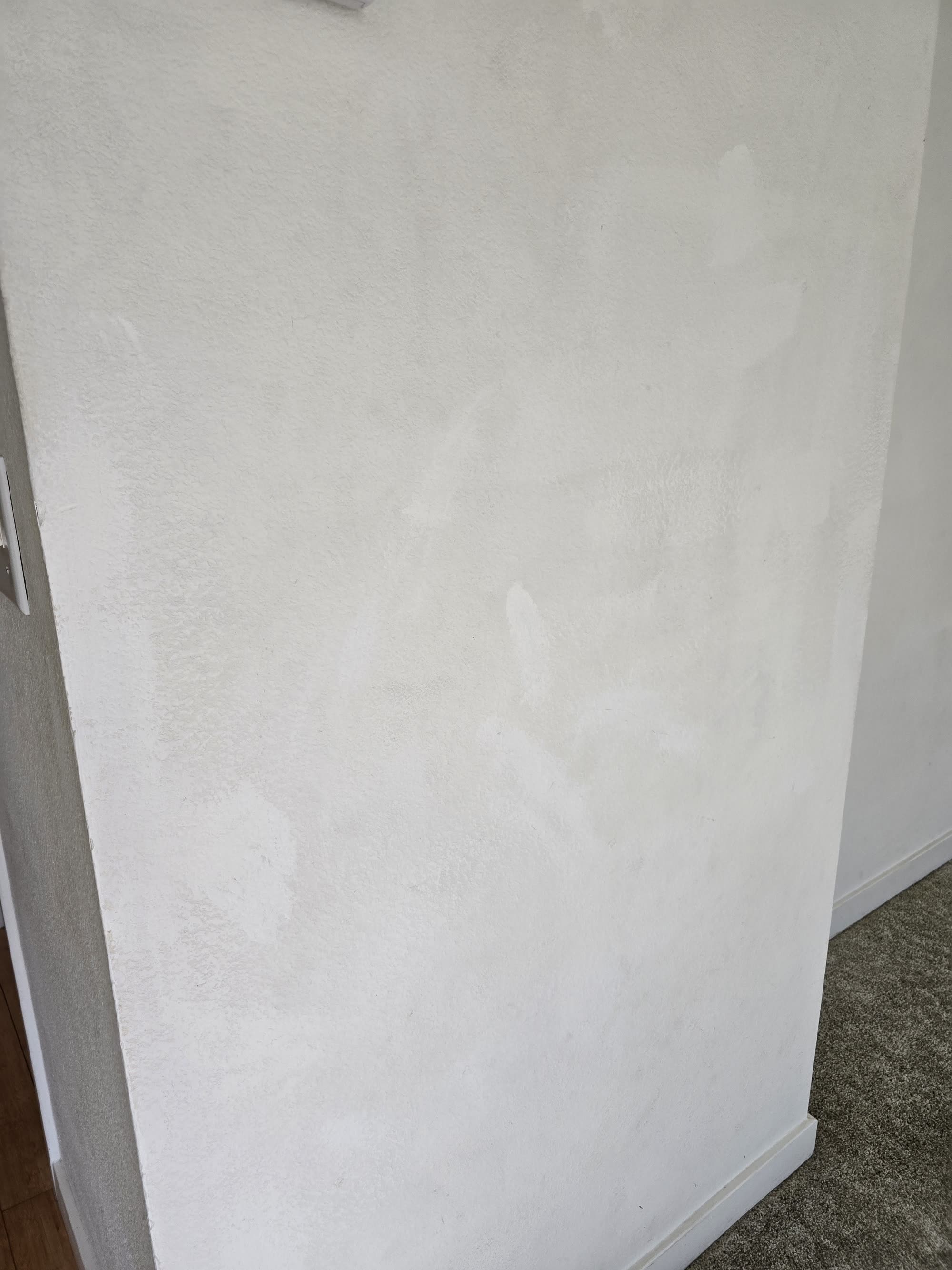 Chico Apartment Suite Interior - Before photo 9